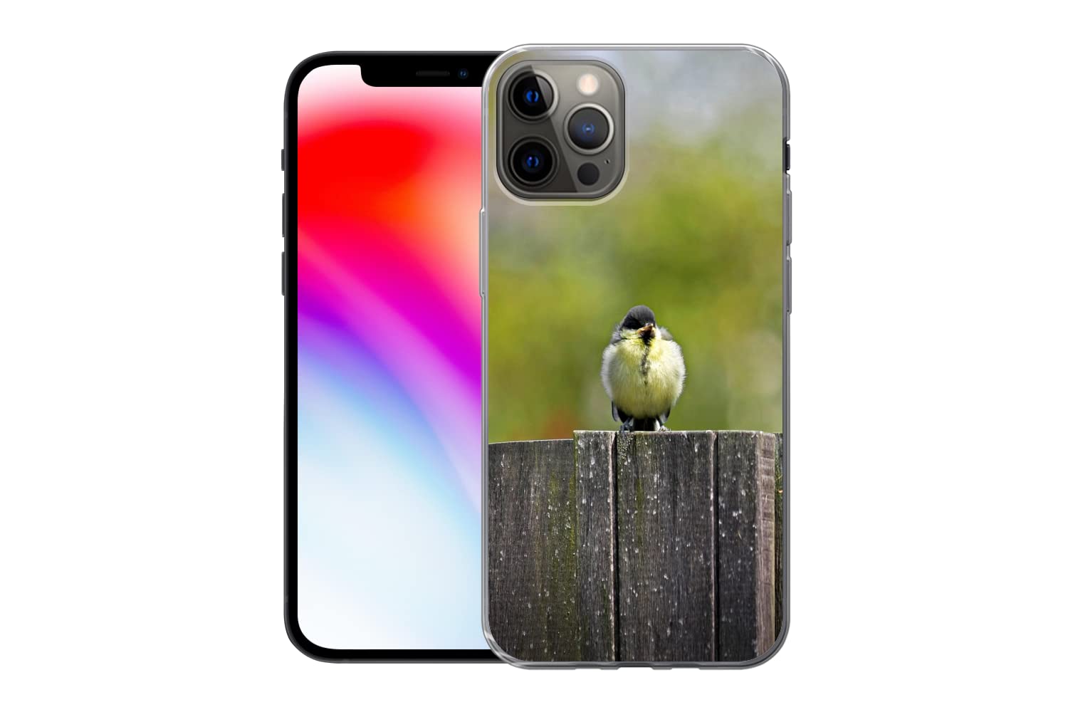 MuchoWow Funda para iPhone 13 Pro - Tres jóvenes Tetas Grandes sentadas en una Valla - Funda de Silicona/Funda Blanda para teléfono móvil