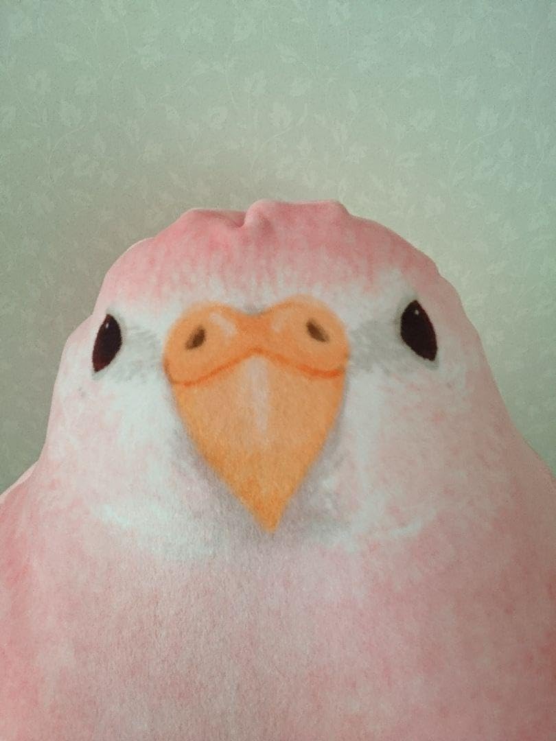 Amazon.co.jp: フェリシモ 小鳥部 クッション アキクサインコ もっちり