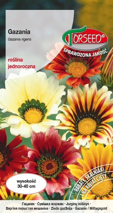 Verdica Gazania Rigens Semillas Gazania rigens – Flores vivas de dos colores, ideal para jardines de rocas y flores cortadas, fácil siembra marzo-mayo, tolerante a la sequía, 30-40 cm de altura (0,3