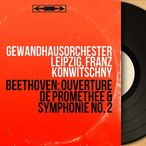  Symphonie No. 2 in D Major, Op. 36: IV. Allegro molto