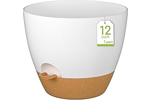 Self-Watering Plant Pot for Monstera: 12" Reservoir Planter for Healthy Indoor Plants