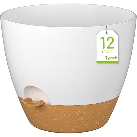 Self-Watering Plant Pot for Monstera: 12" Reservoir Planter for Healthy Indoor Plants