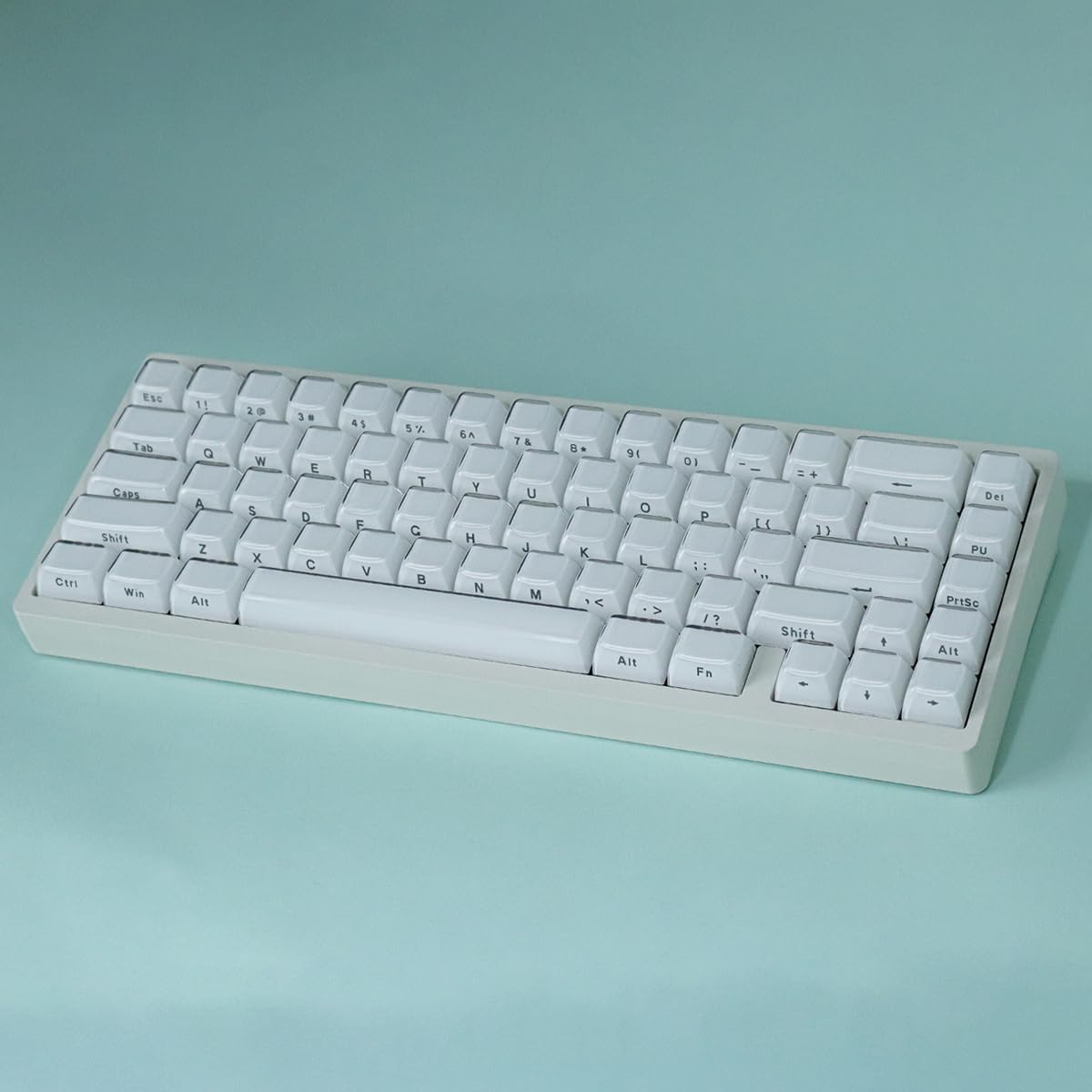 JakeTsai Copritasti in gelatina di cristallo, keycap in PBT, 113 tasti, profilo OEM, double shot, bianco traslucido, con stampa laterale personalizzata, per switch Cherry MX e tastiera meccanica con