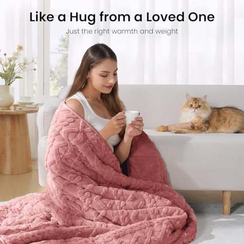 Image of Drewin Queen Size 15lbs Weighted Blanket for Adults, Soft Cozy Turtleback Sherpa Weighted Blankets for Sleeping and Calming, Thick Bed Blanket for Couch Bed, 48 x 72 inches, Apricot Pink