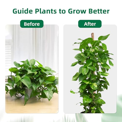 Mcbazel 160cm Monstera Rankhilfe Kokosfaser Moosstab biegbar Zimmerpflanzen – Ansicht 3