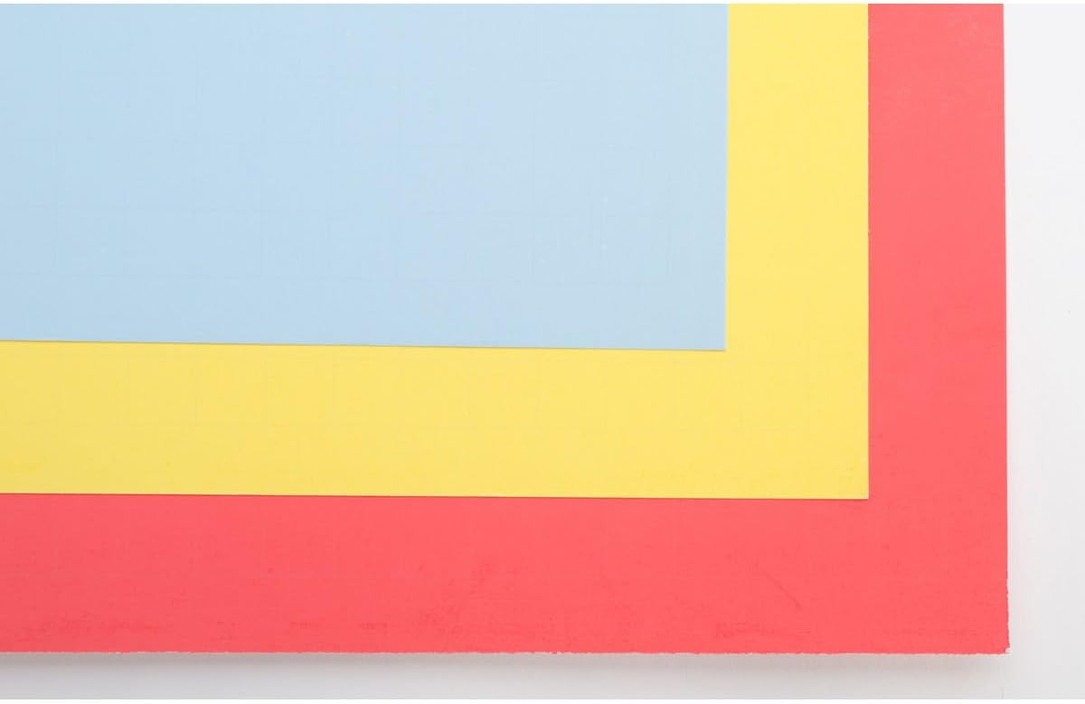 Ghostline Poster Board, 22" x 28", 12pt, Assorted Colors, Yellow, Red, Blue, 3 Pack (18955)