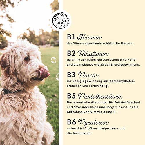 Hunde-Vitamine Annimally Vitamin B Komplex für Hunde und Katzen