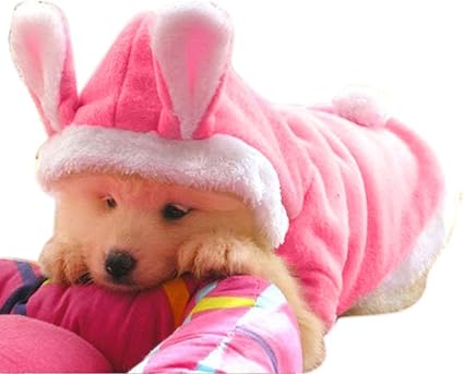 dog easter outfit