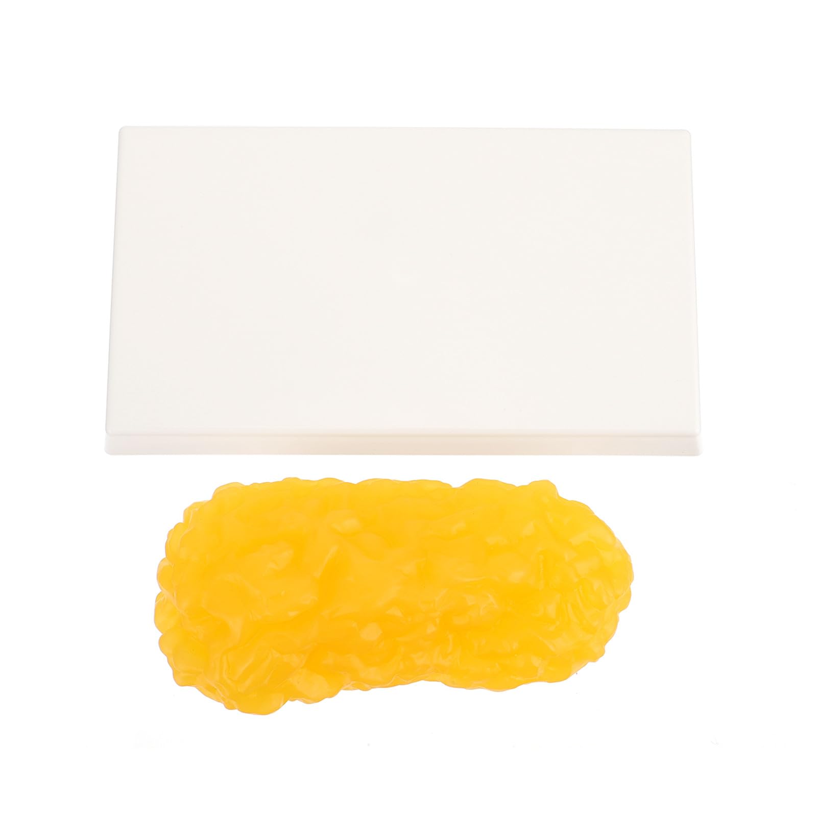 YARNOW Modèle de Graisse Corporelle en Plastique Jaune, 1 Livre, Outil Éducatif pour Nutritionnistes et Patients, pour Salle de Fitness et Motivation Sportive