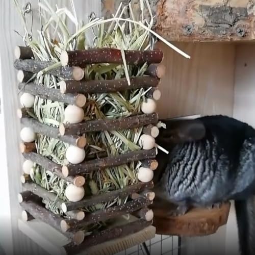 Comedero de heno para conejos de madera de manzano resistente 7