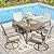 Natural Expressions Patio Swivel Dining Set of 5, 4-Piece Mesh Sling High Back Chairs, 1-Piece 38" Square Woodgrain Steel Dining Table with 1.65'' Umbrella Hole for Outdoor Garden Yard