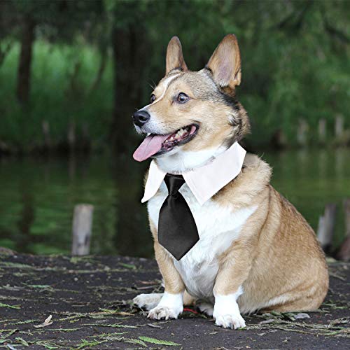 Segarty Dog Necktie, Dog Tie Collar for Medium and Large Dogs, Adjustable Formal Collar Neck Tie for Dogs and Cats Tuxedo Outfits, Birthday Party Gift, Wedding, Business, Photo Wearing