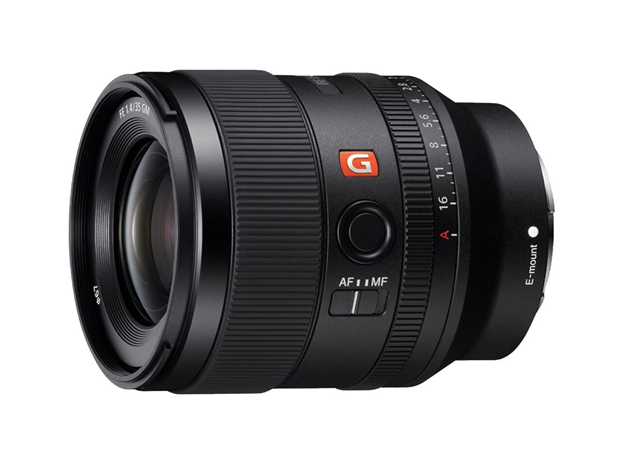 Sony SEL-35F14GM - Obiettivo Grandangolare a Focale Fissa 35mm F1.4, Serie G-Master, Mirrorless Full-Frame & NP-FZ100 - Batteria originale ricaricabile per Fotocamere Alpha 6600, 7C, 7M3