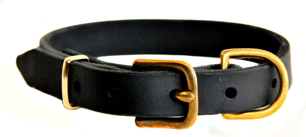 D&T B&B Dog Collar, Brass, 10-Inch to 14-Inch by 3/4-Inch, Black