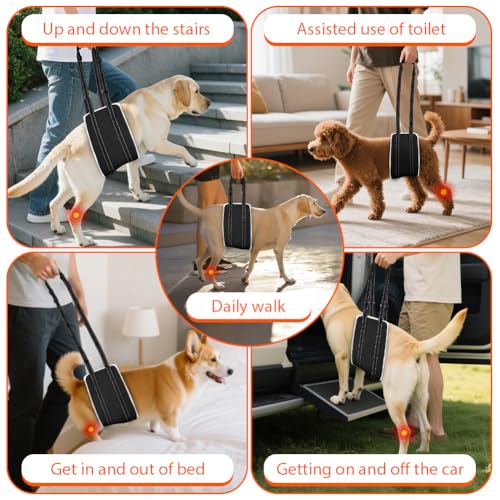 AOOHA Hunde Tragehilfe, Hund Hinten Lift Support Geschirr, Flauschig Weiches Material, Verstellbare Gehhilfe, Hundegeschirr für behinderte, verletzte oder ältere Hunde (M)