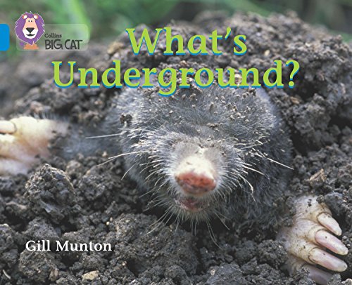 What’s Underground (By: Gill Munton)