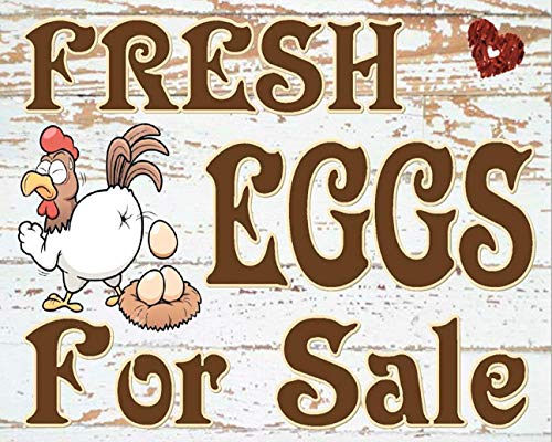 TOCMANE Fresh Eggs for Sale Hühnerstall, Blechschild, Metallposter, 20,3 x 30,5 cm
