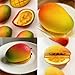 Juome 3D Mango Shape Cake Mold - 4 Cavity Fruit Pudding Mango Silicone Molds for Baking Pastry, Ice Cream, Mousse Cake Decoration Mould Supplies