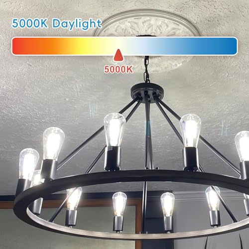 Image of Jensense Edison Bulbs E26 LED Bulb 60 Watt Equivalent, Vintage LED Light Bulbs CRI90+ ST19, Dimmable Clear Light Bulbs (5000K Daylight, 7watt-8 Pack)
