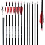 TOPOINT ARCHERY 30 inch Carbon Arrows with Removable Tips, Practice Hunting Arrows for Compound & Recurve Bow(12 Pack) (3Inch 2Red 1White Vanes-Spine 500)