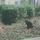 �g�[�`�\���O �Y�[�J���f��