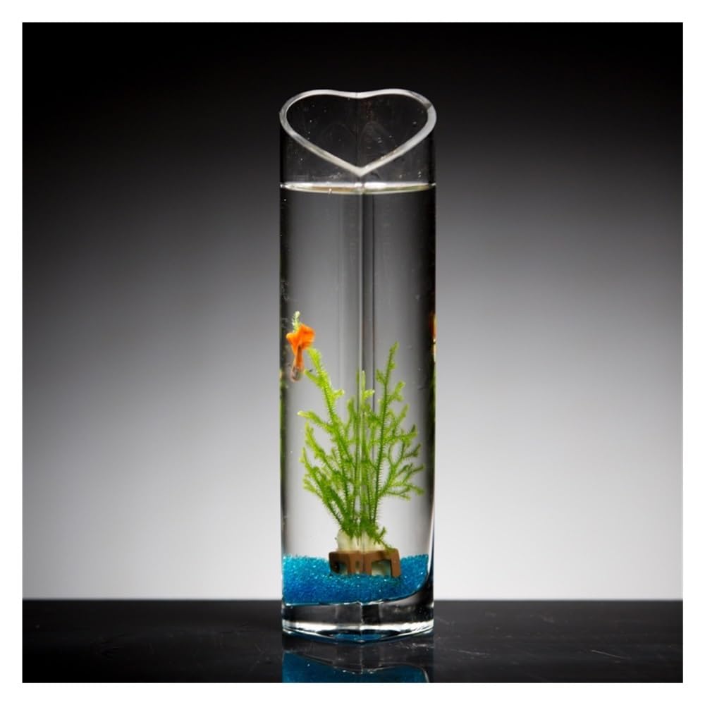 Aquarium Kleines Goldfisch-Aquarium aus Glas, Mini-Tisch-Aquarium, romantisch, kreativ, herzförmig(8 * 28cm)