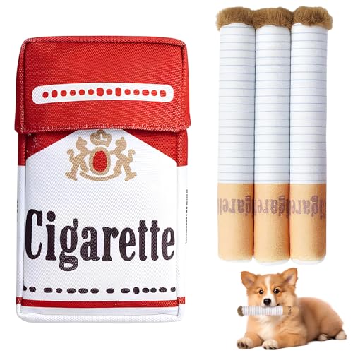 Riceel Interactive Dog Toy, Dog Toy Squeaky with a Box