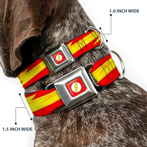 Collier pour chien en acier et polyester haut de gamme Flash Bolt Stripe - 3