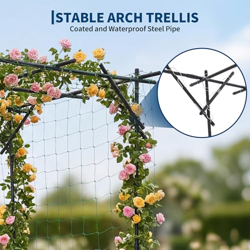 Grape and Cucumber Trellis,Outdoor Garden Arch Trellis for Climbing Plants,Large Grape Vine Trellis Pergola for Peas,Flowers and Melons,78" Hx78 Lx78 W,Nice for Yard and Patio by Garvee - Used condition - Image 5