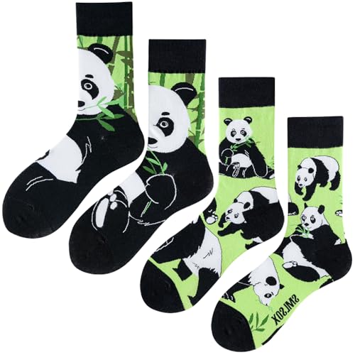 Image of 2 Pairs Cartoon Animal Crew Socks Fun Cotton Mid Calf Socks for Women