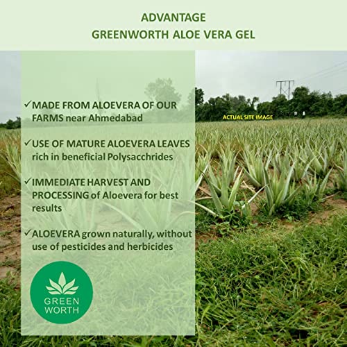 GREEN WORTH Pure Aloe Vera Gel 400 Gm (Pack Of 2 X 200 Gm) - Image 5