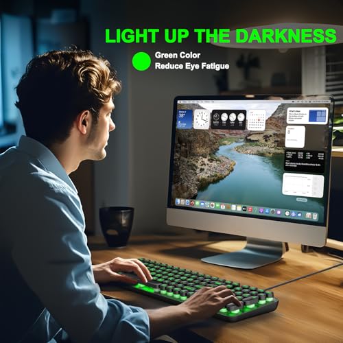 QUASIO Large Print Backlit Keyboard LPK66 の商品画像 4