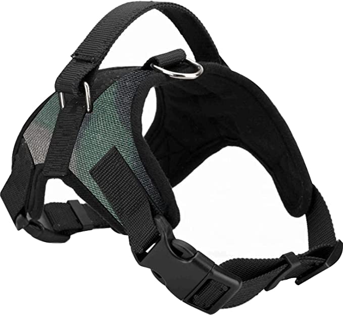 Dog Trust Dog Belt Padded Dog Harness Adjustable Neck Strip & Chest Strip Dog Harness (Medium) (B0BDF7WKMY) Amazon Price History, Amazon Price Tracker