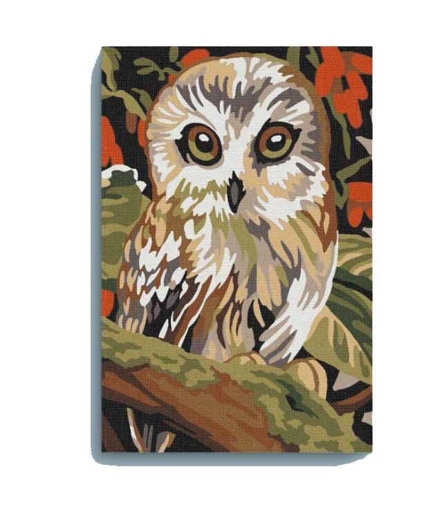 EAZY ARTS Owl Paint by Numbers Kit for Kids, 28 X 40 CM