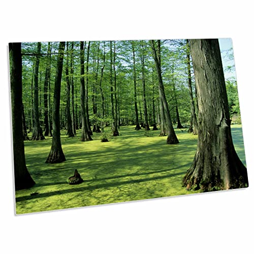 3dRose Desk Pad Place Mat con diseño Heron Pond