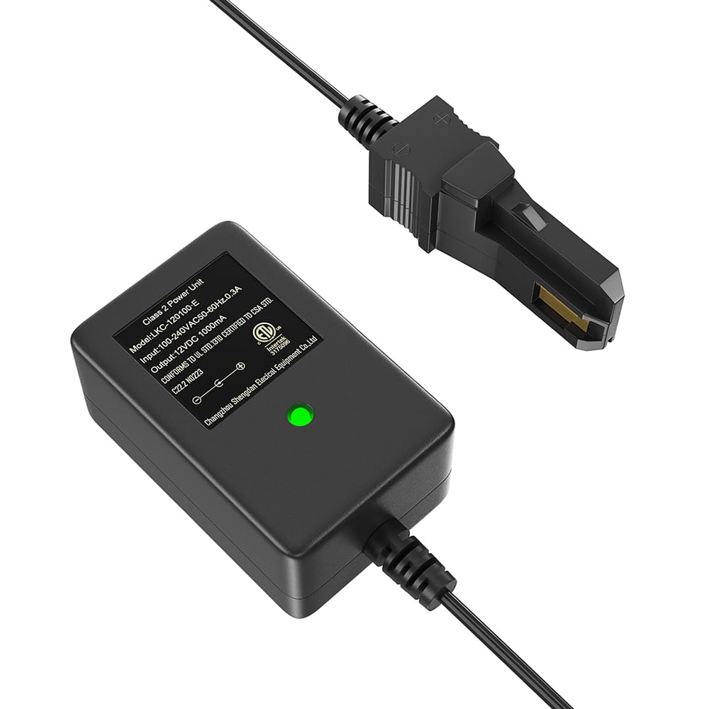 6-Volt Charger for Peg Perego for Choo Choo Express Train IGED1116 / for Ducati 1098 IGED0913 / for John-Deere E-Tractor IGED1062 Children Ride On Car, Battery Charger for Ride-On Toys (Unofficial)