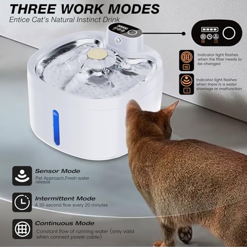 Fontaine à eau en acier inoxydable pour chat style épuré - 5