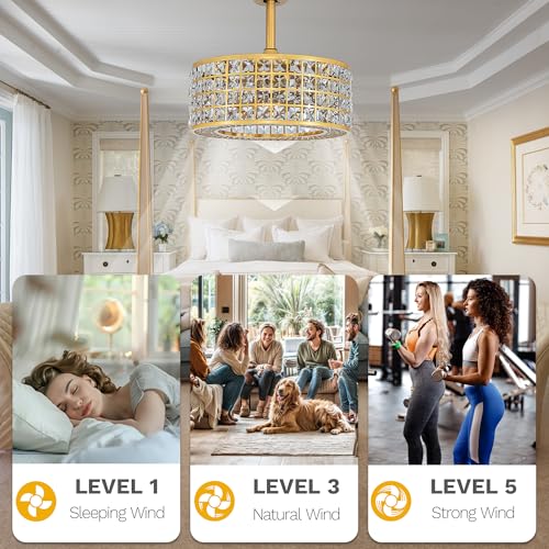 DWVO 18" Crystal Caged Ceiling Fans with Lights Enclosed Modern Ceiling Fan with Remote Control Reversible Industrial Fandelier Chandelier 3 Speeds,3 Color Temperatures for Bedroom, Indoor (Gold)