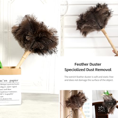 Image of Ostrich Feather Duster 16 inch Fluffy Natural Genuine Ostrich Feathers with Wooden Handle and Eco-Friendly Reusable Handheld Ostrich Feather Duster for Cleaning Supplies(5PCS)