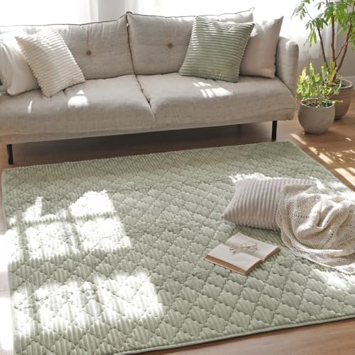 ERARE ���O ���O�}�b�g �􂦂� �k�� ������� �t�����l�� �L���e�B���O 190×240cm 3�� �X�g���C�v �I�[���V�[�Y�� �J�[�y�b�g �O�~ ����~�� �Z�[�W�A�b�V�� �G���[�� ER-007