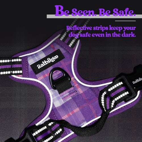 Image of rabbitgoo Dog Harness No Pull with 2 Leash Clips, Adjustable Soft Padded, Reflective Oxford No Choke Pet Vest with Easy Control Handle for Large Dogs, Purple Plaid, XL