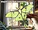 AuroAura Green Luna Moth Stained Glass Window Hanging - Handmade Real Glass Suncatcher for Women, Mom, Grandma - Elegant Green Butterfly Gifts Box Home Decor (H5.8xW7.3 Inch)