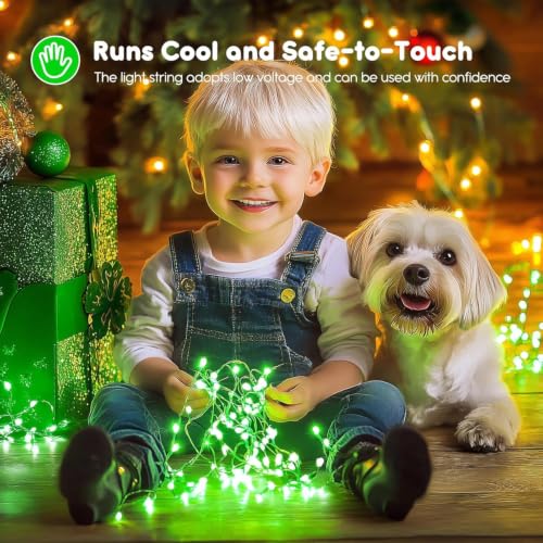 Image of Brightown 12 Pack St. Patrick's Day LED Fairy Lights Battery Operated String Lights Waterproof Silver Wire 7 ft 20 LED Firefly Starry Moon Lights for DIY Wedding Party Bedroom Patio