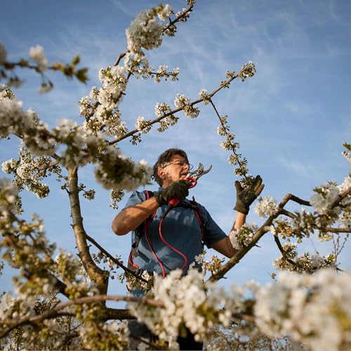 Roland Schmitt: Obstbauer aus der Fr&auml;nkischen Schweiz &uuml;ber Artenreichtum, &Auml;pfel und Streuobstwiesen