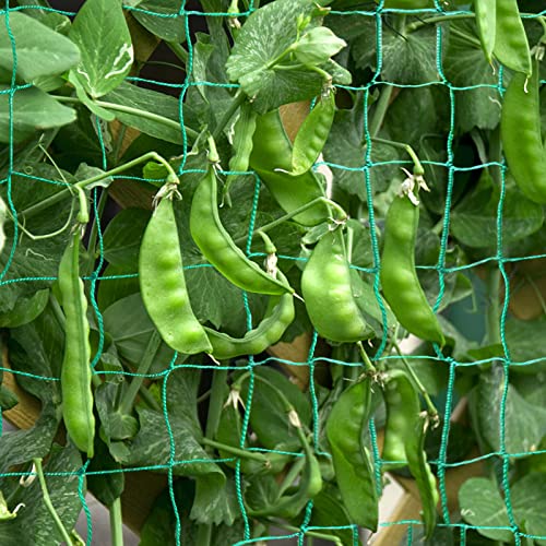 Garden Trellis For Climbing Plants - Heavy Duty Vegetable Cucumber Trellis Netting For Climbing Plants Green Peas Trellis For Tomato, Vine Plants Trellis Net Outdoor Grow Net (9 X 6.6 Ft) #TOP1