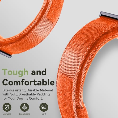 Image of 2026 Upgrade Waterproof Tactical AirTag Dog Collar, Built in AirTag Holder