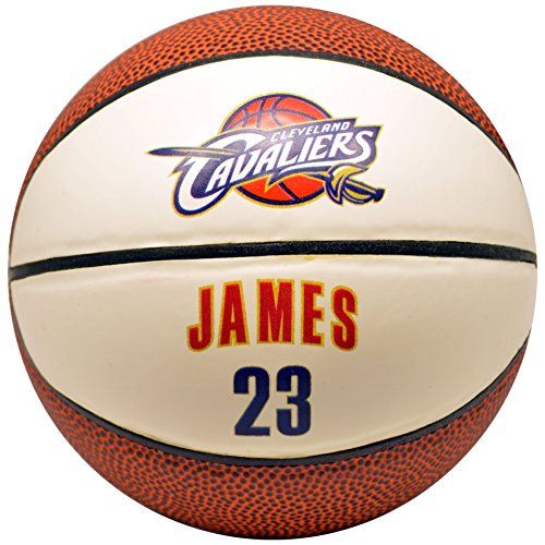 Discover Bargain Spalding NBA Cleveland Cavaliers Lebron James Mini Jersey Basketball