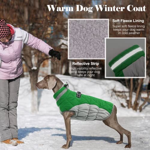 Image of LeLePet Warm Dog Winter Coat, Waterproof, Fleece, Green, X-Small, Turtle Neck, Adjustable, Windproof, for All Breed Sizes
