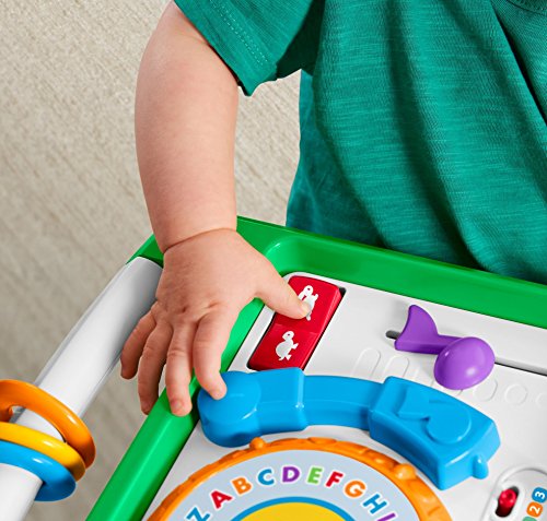 Fisher Price- Infant-Preschool, FBM42