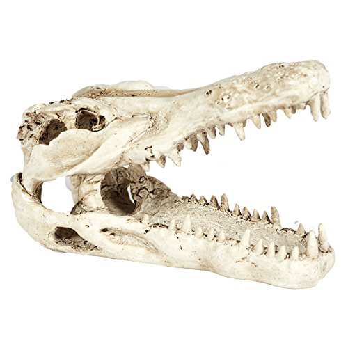 Pet Ting Aquarium-Dekoration Krokodilschädel, Dekoration für Vivarium